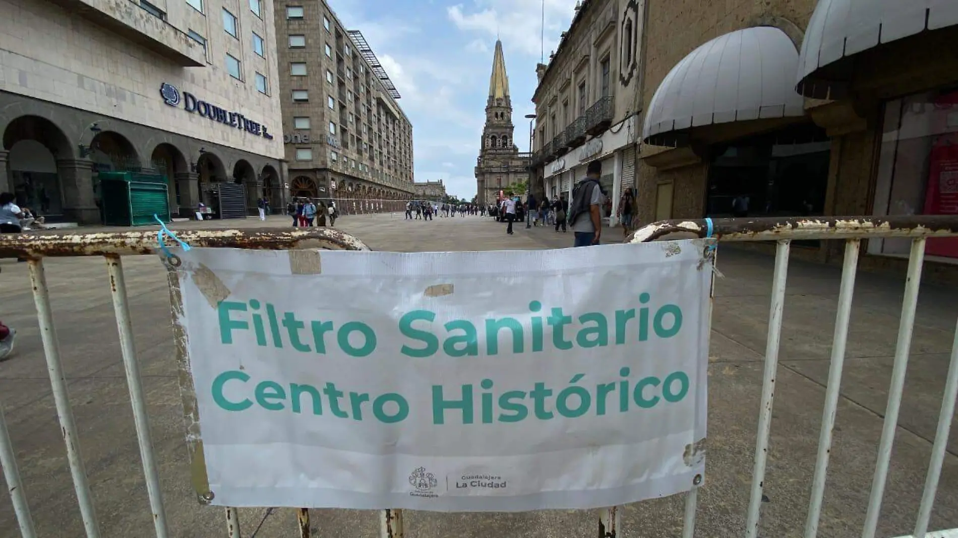 Filtro sanitario-gdl